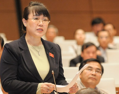 Nhiều trường hợp thôi nhiệm vụ, mất quyền ĐBQH khóa 14 - ảnh 5