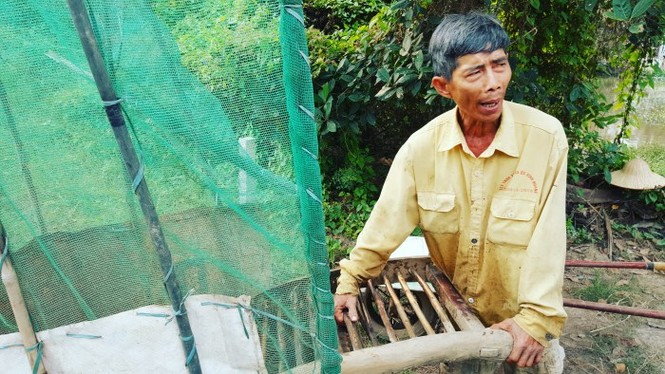 Lão nông sài gòn thu hoạch lúa - ảnh 8
