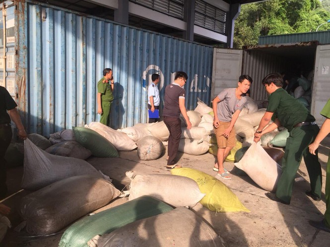 Bắt giữ gần 10 tấn ngà voi và vảy tê tê nhập lậu - ảnh 1