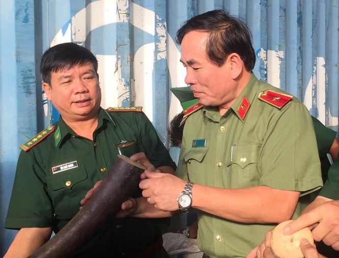 Bắt giữ gần 10 tấn ngà voi và vảy tê tê nhập lậu - ảnh 2