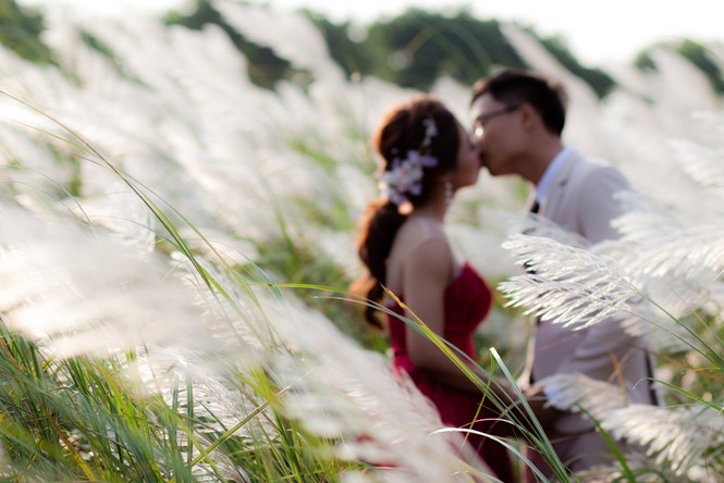 Giới trẻ nô nức check-in Đà Nẵng mùa cỏ lau - ảnh 3