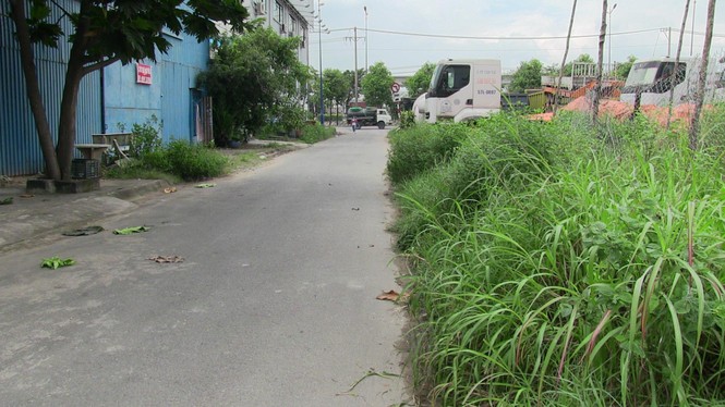 Giằng co với cướp, người phụ nữ bị chém nhiều nhát - ảnh 2
