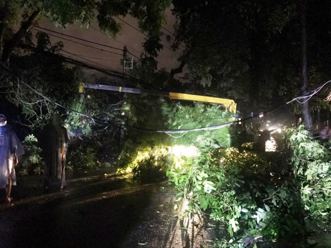 TPHCM: Mưa lớn khiến cây cổ thụ bật gốc đè dây điện, nhiều người hoảng loạn - ảnh 2