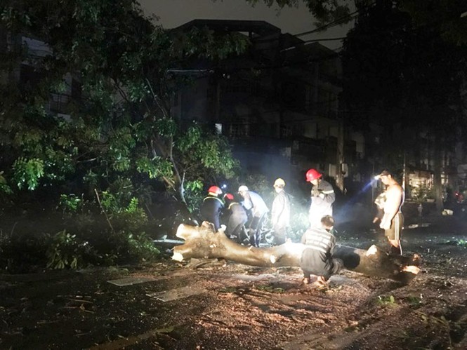 TPHCM: Mưa lớn khiến cây cổ thụ bật gốc đè dây điện, nhiều người hoảng loạn - ảnh 1