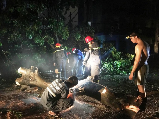 TPHCM: Mưa lớn khiến cây cổ thụ bật gốc đè dây điện, nhiều người hoảng loạn - ảnh 4