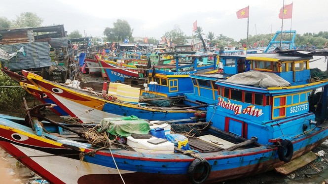Cận cảnh ngư dân Sài Gòn hối hả neo thuyền tránh bão Tembin - ảnh 6