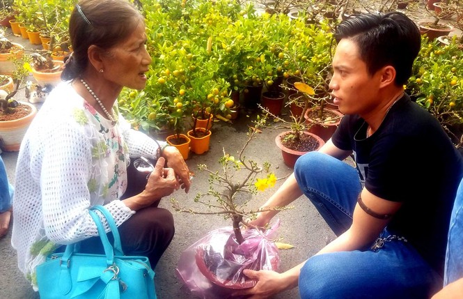 Mai bonsai “tí hon” chơi Tết hút khách ở Sài Gòn - ảnh 14