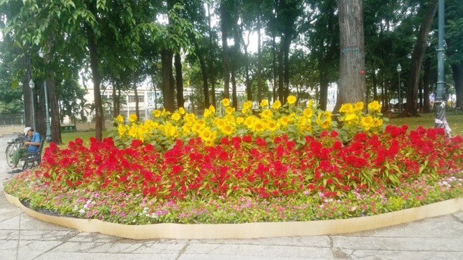 Sài Gòn rực rỡ trước thời khắc giao thừa - ảnh 15