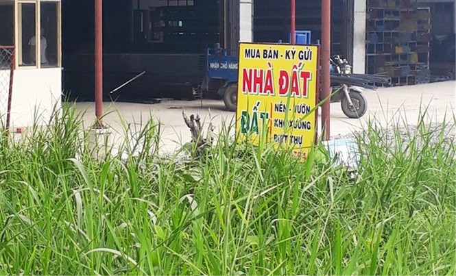 'Sốt' đất nền lan khắp Sài Gòn, đua nhau tách thửa bán - ảnh 6