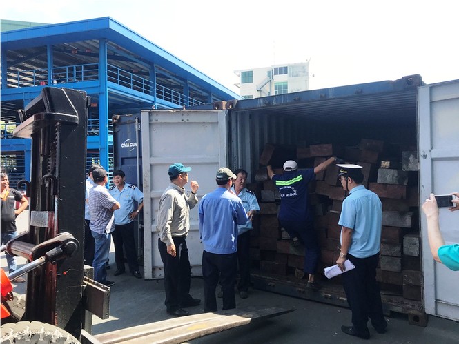 Gần 4 tấn vảy tê tê 'đột nhập' TPHCM qua container chở gỗ - ảnh 1