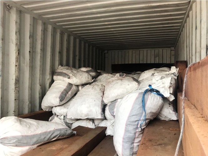 Gần 4 tấn vảy tê tê 'đột nhập' TPHCM qua container chở gỗ - ảnh 2