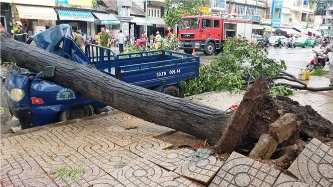 Giông lốc làm cây ngã khắp Sài Gòn, đè bẹp ô tô, lốc mái nhà dân - ảnh 3