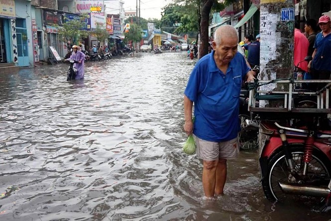 Chủ 'siêu máy bơm' phản bác khi bị nói 'không biết gì về chống ngập' - ảnh 8