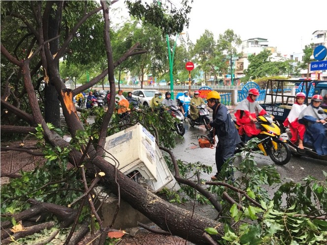 Mưa lớn chiều nay ở TPHCM: Cây đổ đè gẫy tụ điện, nhiều người tháo chạy - ảnh 2