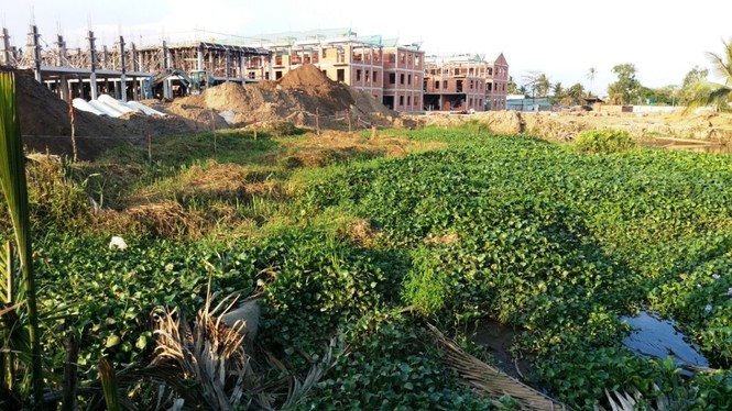 Dân chưa nhận đền bù, đất đã bị nhổ rào làm dự án - ảnh 1