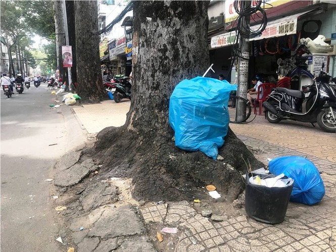TPHCM sử dụng camera phạt nguội, 'bêu tên' người xả rác - ảnh 1