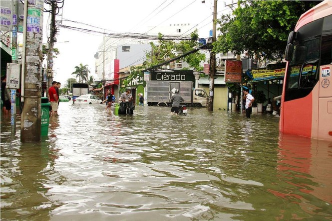 Chuyên gia: Chống ngập là 'dắt mưa ra ngoài và ngăn triều lũ tiến vào' - ảnh 16