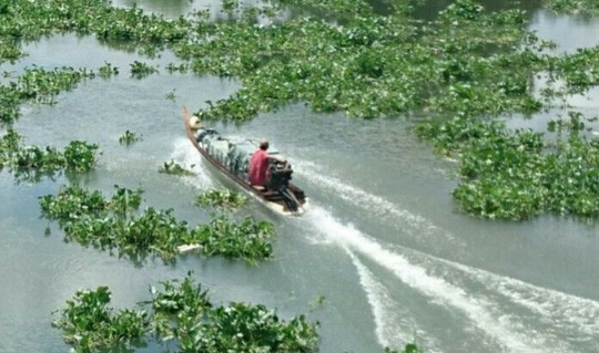 An Giang, Tây Ninh tiếp tục là 'điểm nóng' buôn lậu thuốc lá - ảnh 1