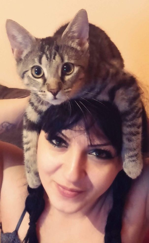 Giới trẻ thế giới rộ mốt ‘selfie’ đội mèo lên đầu - ảnh 11