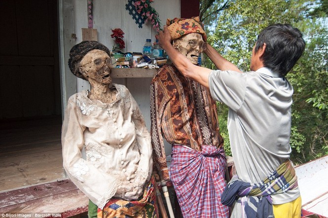 Rùng mình với mộ cây hài nhi ở rừng già Indonesia - ảnh 6