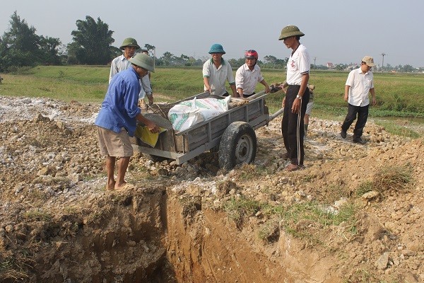 Vò đầu bứt tai, trắng đêm ngó lợn bỏ ăn nằm li bì - ảnh 3