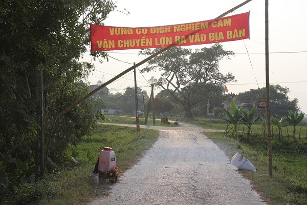 Vò đầu bứt tai, trắng đêm ngó lợn bỏ ăn nằm li bì - ảnh 6