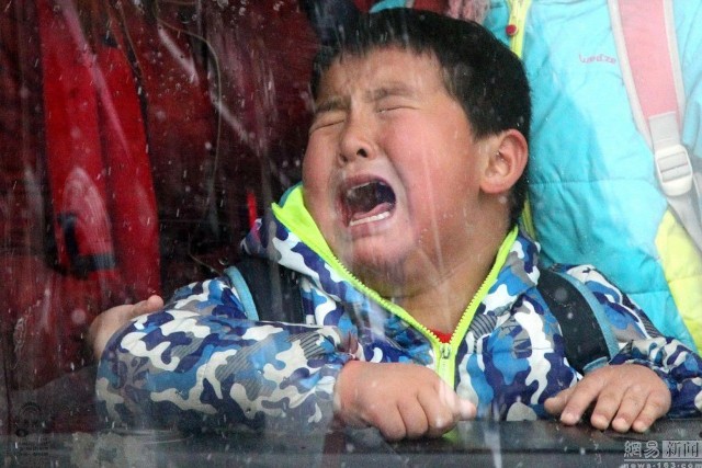 Bé trai kêu khóc thảm thiết trên xe 'nhồi' khách như nêm cối - ảnh 8