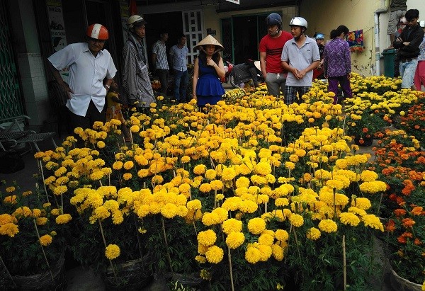Hoa, dưa hấu chợ Tết vùng sâu đắt như tôm tươi - ảnh 3