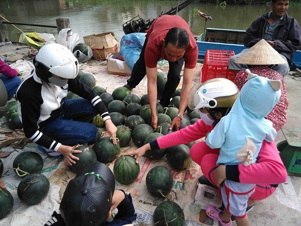 Hoa, dưa hấu chợ Tết vùng sâu đắt như tôm tươi - ảnh 2
