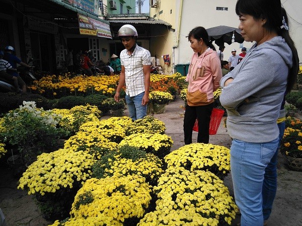 Hoa, dưa hấu chợ Tết vùng sâu đắt như tôm tươi - ảnh 4