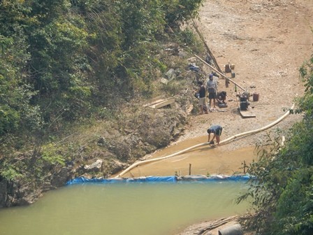 Tan hoang núi rừng vì vàng “tặc” - ảnh 4