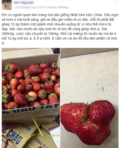 Chợ đặc sản quê online 'săn' dân chung cư - ảnh 3