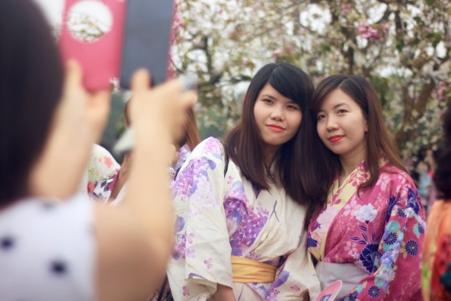 Thiếu nữ Hà thành diện Yukata khoe sắc bên hoa anh đào - ảnh 7