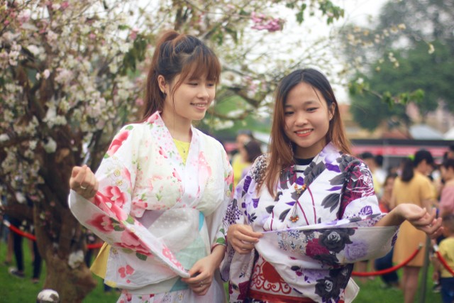 Thiếu nữ Hà thành diện Yukata khoe sắc bên hoa anh đào - ảnh 4