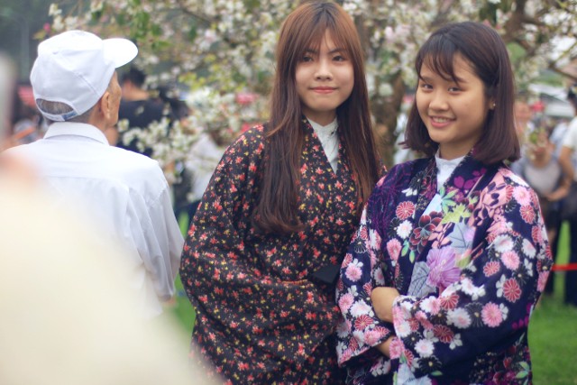 Thiếu nữ Hà thành diện Yukata khoe sắc bên hoa anh đào - ảnh 3
