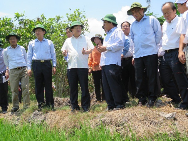 Phó Thủ tướng chỉ đạo ứng phó hạn, mặn nghiêm trọng ở ĐBSCL - ảnh 1