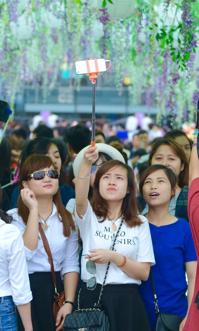 Dân Thủ đô thất vọng với hầm Tử đằng toàn... hoa nhựa - ảnh 7