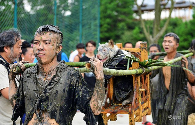 Lạ lẫm lễ hội người rước chó ngồi kiệu như ông hoàng - ảnh 2