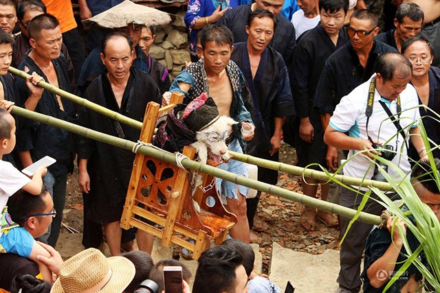 Lạ lẫm lễ hội người rước chó ngồi kiệu như ông hoàng - ảnh 5