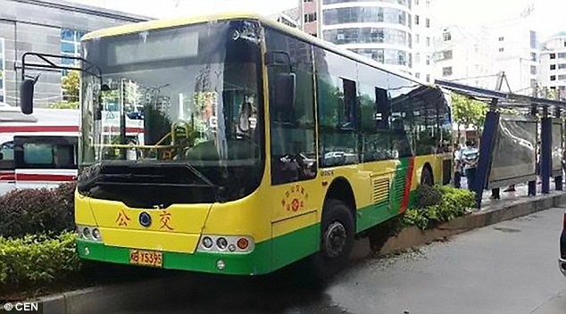 Tài xế đang lái xe buýt bất ngờ gục chết trên vô lăng - ảnh 6