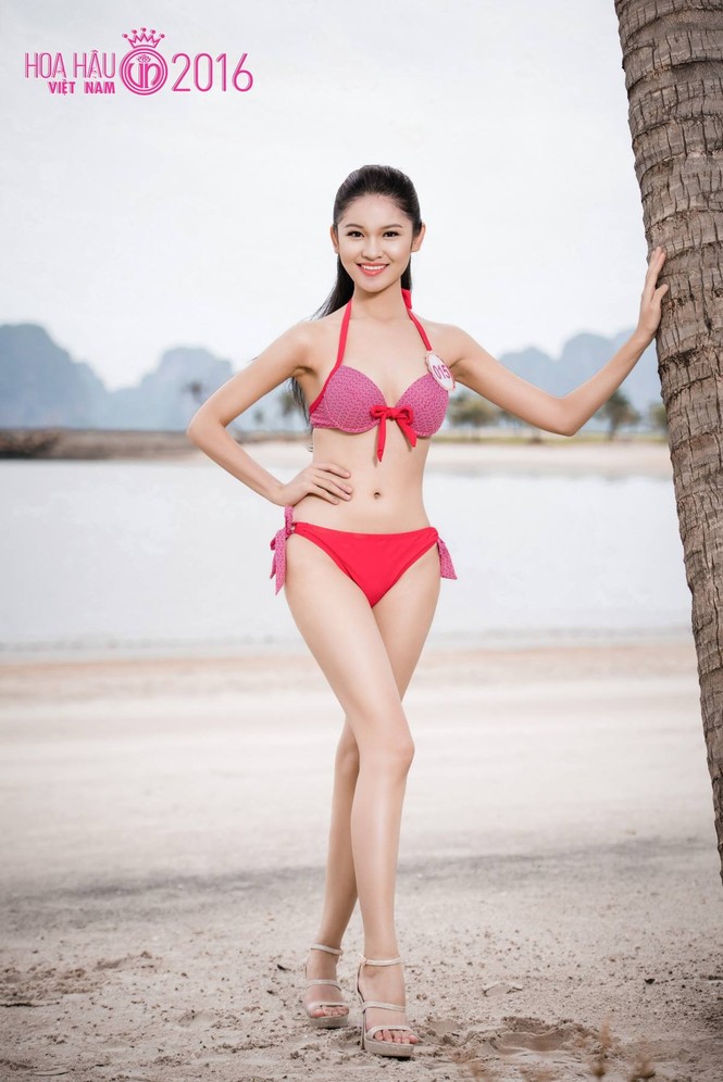 huỳnh thị thùy dung - ảnh 7