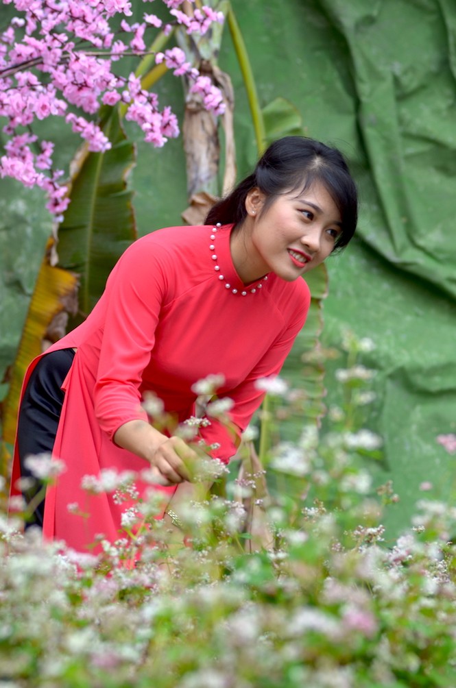 Tam giác mạch Hà Giang 'xuống núi', khoe sắc bên hồ Gươm - ảnh 14
