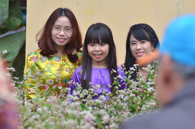 Tam giác mạch Hà Giang 'xuống núi', khoe sắc bên hồ Gươm - ảnh 9