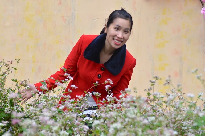 Tam giác mạch Hà Giang 'xuống núi', khoe sắc bên hồ Gươm - ảnh 6