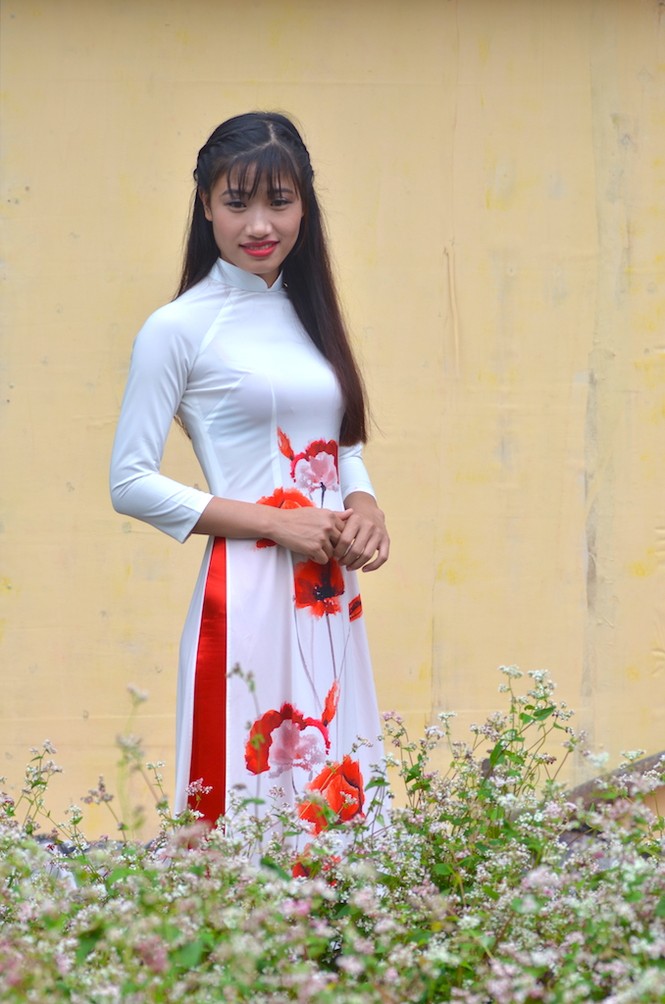 Tam giác mạch Hà Giang 'xuống núi', khoe sắc bên hồ Gươm - ảnh 7