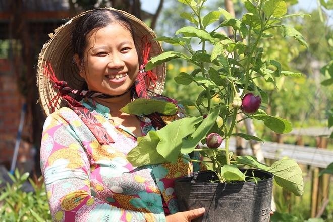 Rau củ vào chậu kiểng Tết hút hàng - ảnh 6