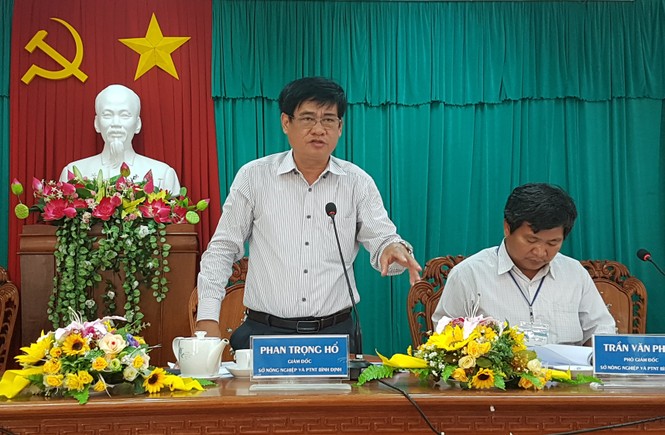 Vụ tàu vỏ thép nằm bờ: Công ty đóng tàu phải chịu 100% phí khắc phục - ảnh 5