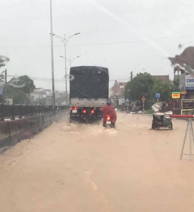 Nghệ An: Mưa lớn khiến hàng trăm ha hoa màu của nông dân bị ngập - ảnh 3