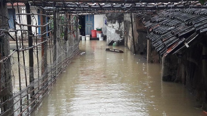 Nghệ An: Mưa lớn khiến hàng trăm ha hoa màu của nông dân bị ngập - ảnh 4
