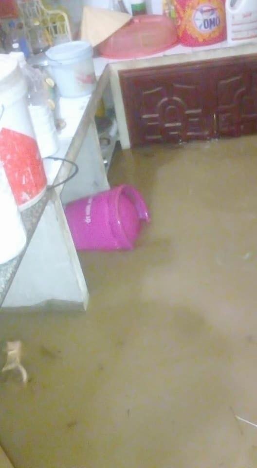 Nghệ An: Mưa lớn khiến hàng trăm ha hoa màu của nông dân bị ngập - ảnh 5